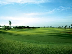 TOUR ĐÁNH GOLF SÂN GOLF ĐẠI PHƯỚC
